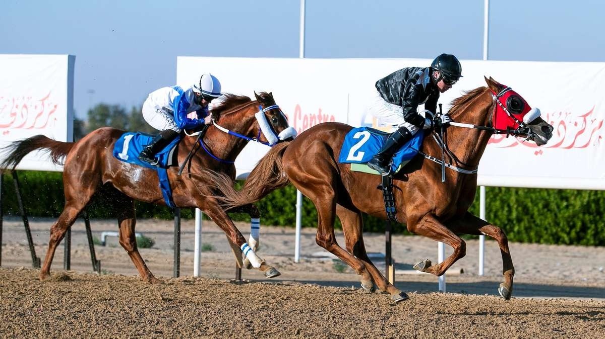 Review: French-Bred Deryan Takes Home Gr.1 Dubai Kahayla Cla ... Image 2